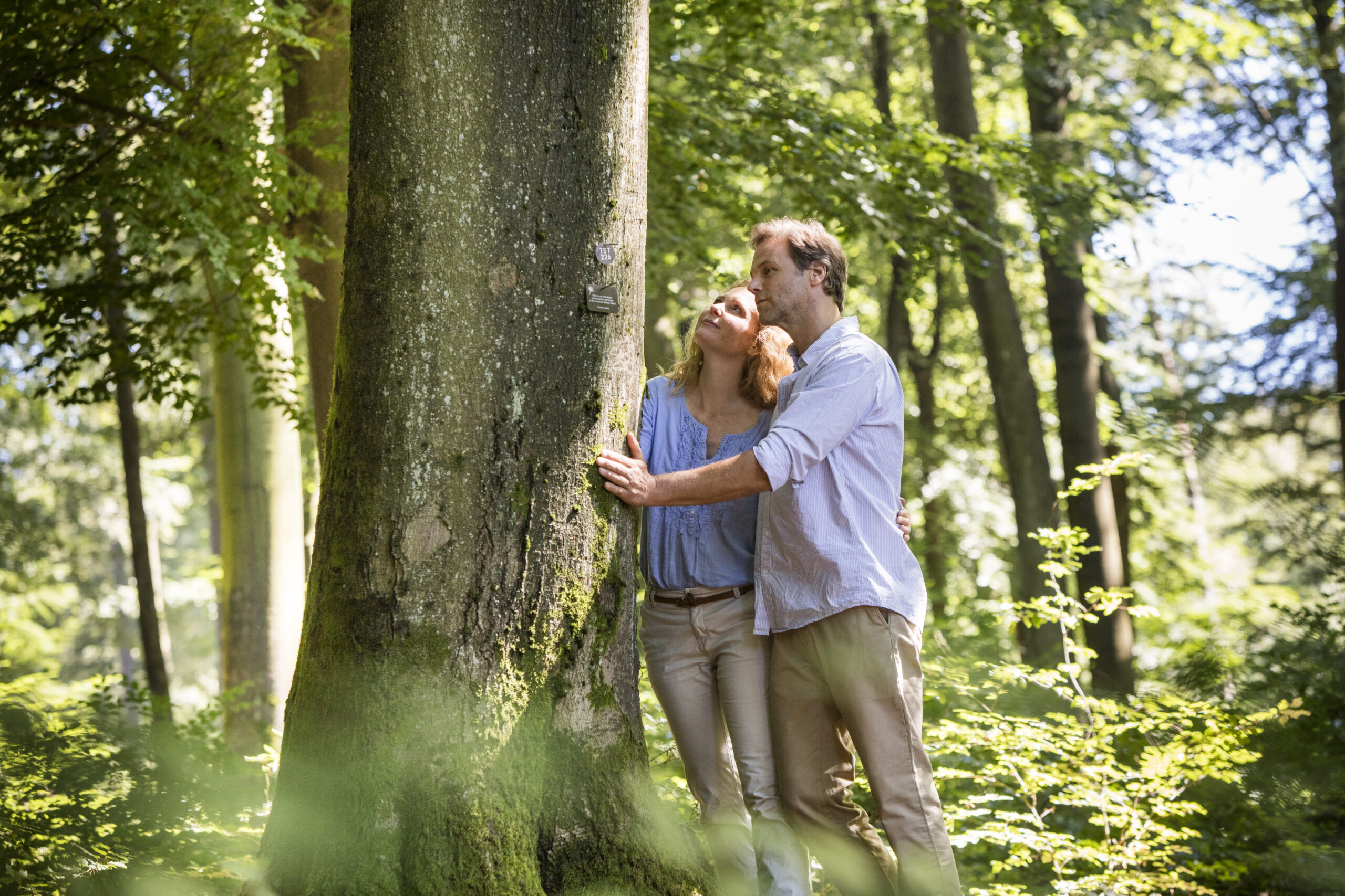 Baum im FriedWald