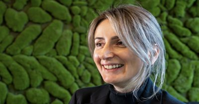 Bildschirmfoto 2026-03-15 um 16.33.07