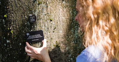 Bildschirmfoto 2026-03-18 um 20.13.46